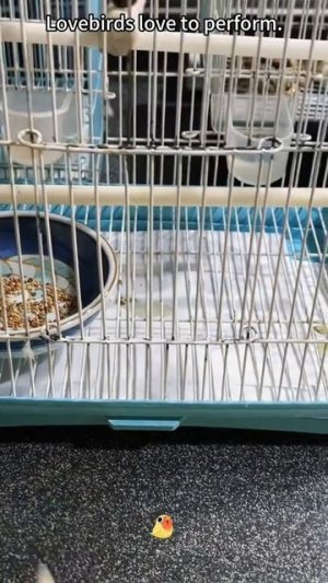 🤣🤣🤣🤣🤣
 подписывайтесь на перчик🌶🌶🌶 тут всё для хорошего настроения☺☺☺