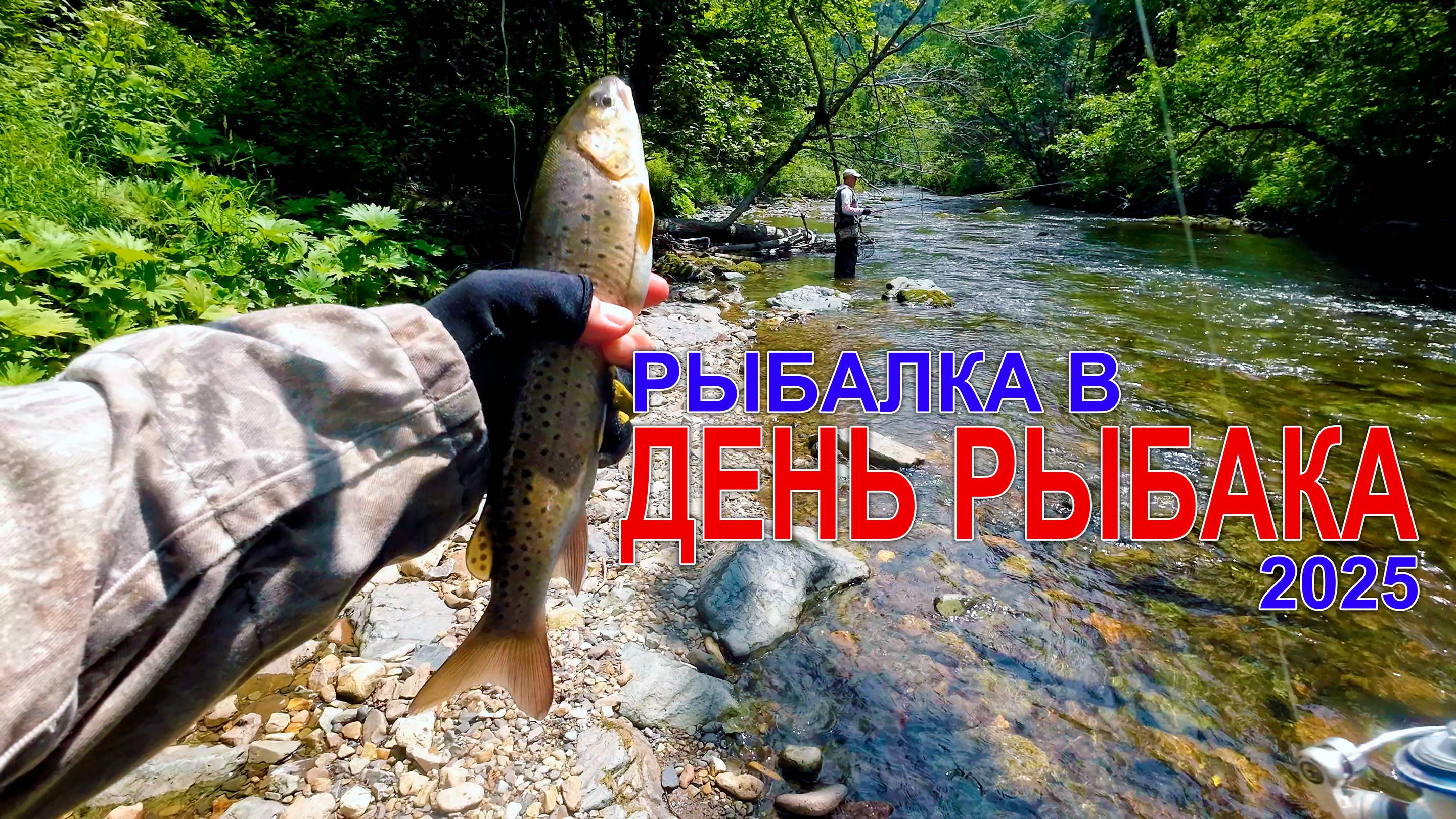 Рыбалка на хариуса и ленка в День Рыбака 2025. Горная река в Приморье #горнаярыбалка #хариус #ленок смотреть онлайн