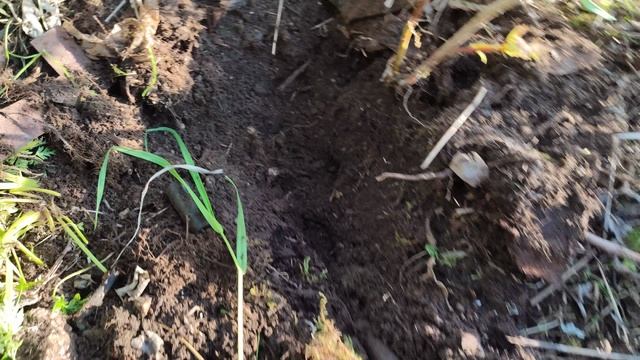 Нашёл железного поросёнка смотреть онлайн