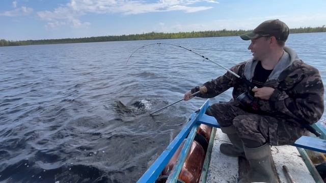 Поймал щуку! 🎣🐟 #рыбалка #щука #улов смотреть онлайн