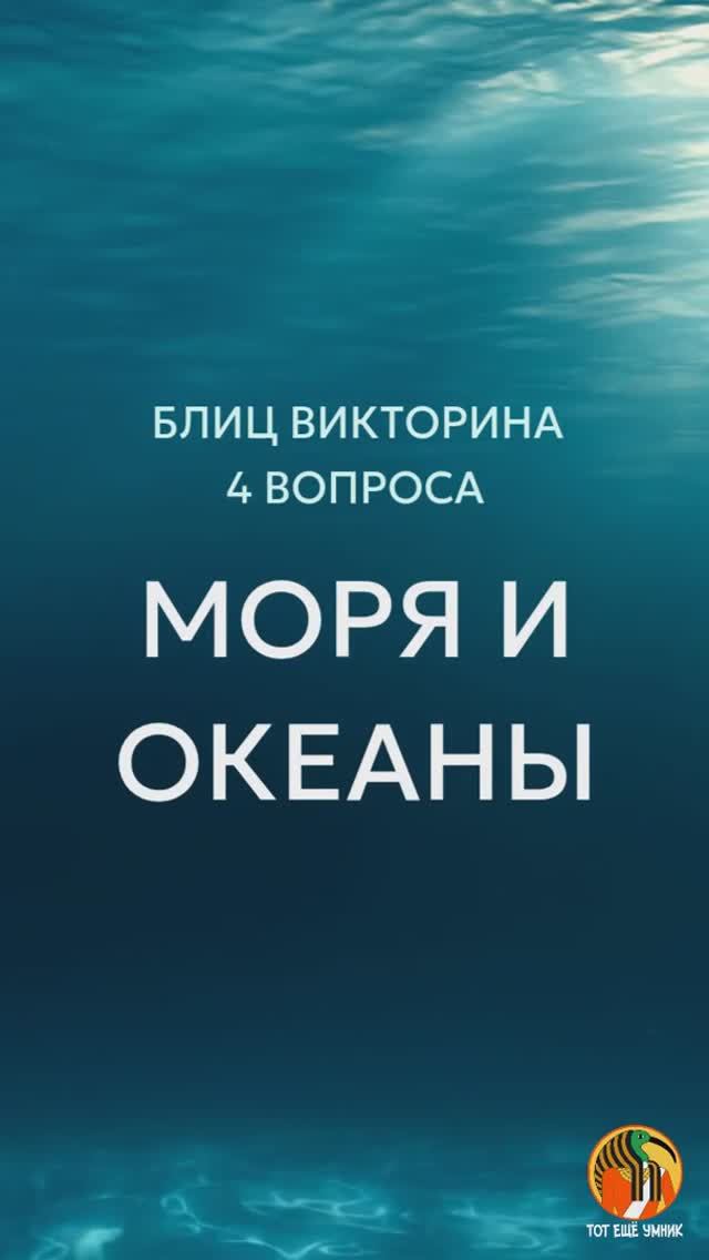 Блиц викторина на тем - моря и океаны