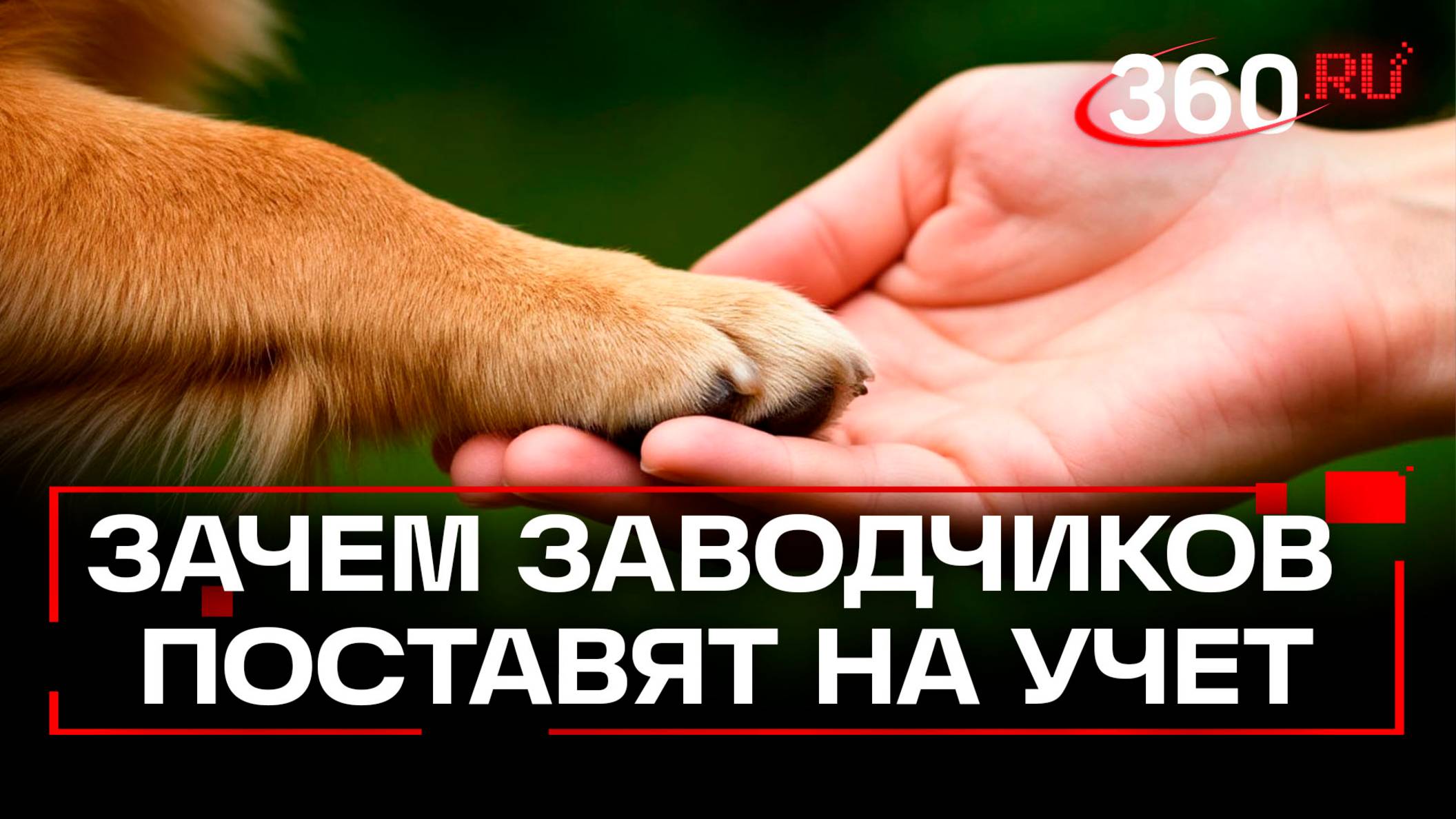 Телеканал 360