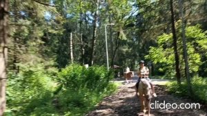 конная прогулка (конюшня Бородино)