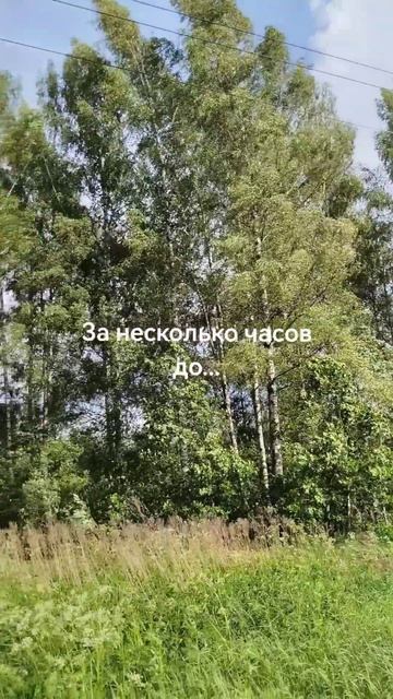 За несколько часов до... смотреть онлайн