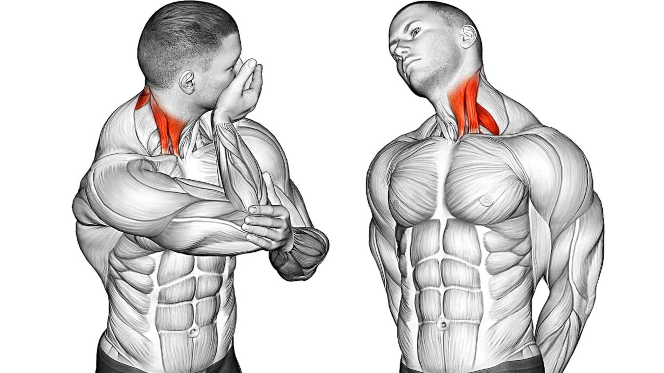 7 Упражнений для Укрепления Шеи