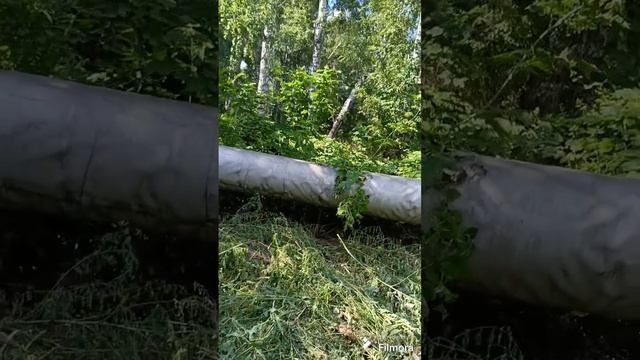 трубы {2} обновление (Лето) «геймплей»