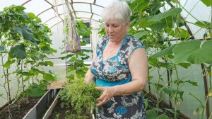 "Жизнь на пенсии".. Дни идут, копошусь понемногу.