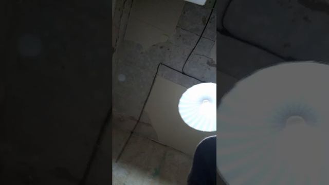 качок-кабачок