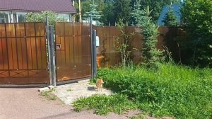 Дачный влог🏡отмечаем ДР сестры🥳гуляем по деревне🍀🌞