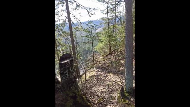 УСЬВИНСКИЕ СТОЛБЫ смотреть онлайн