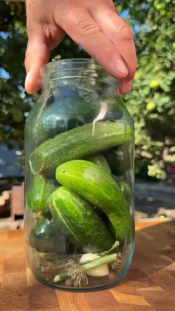 Перестаньте покупать маринованные огурцы в магазине смотреть онлайн