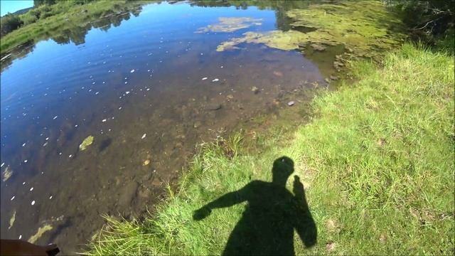 Стены из палок и картона смотреть онлайн