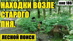 или ПОИСК МОНЕТ И НЕ ТОЛЬКО В ЛЕСУ. коп 186