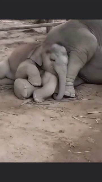 Добрых снов смотреть онлайн