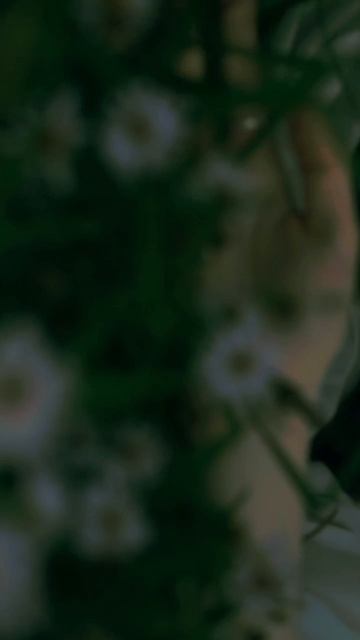 #эстетика #мойдом #уют #гармония #вдохновение #тепло