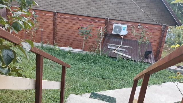 СОЧИ ГОРНОЕ ЛОО УТРО 30.07.2025 смотреть онлайн