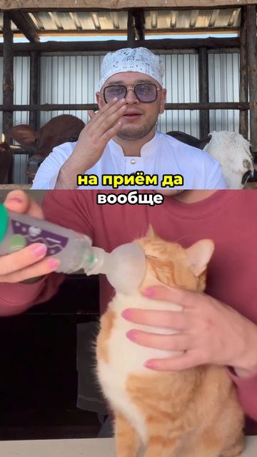 Продолжаю отвечать на ваши вопросы