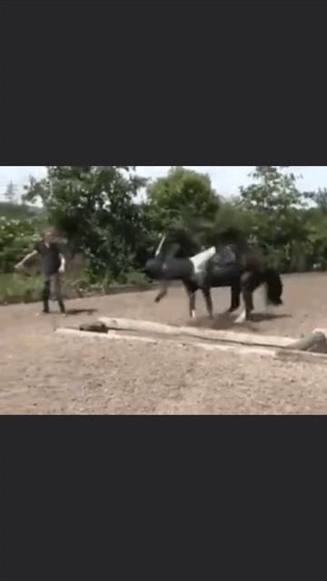 Конечная смотреть онлайн