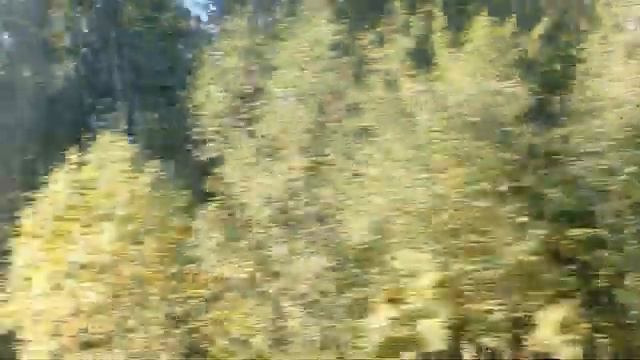 Электропоезд Ладожский вокзал - Мга смотреть онлайн