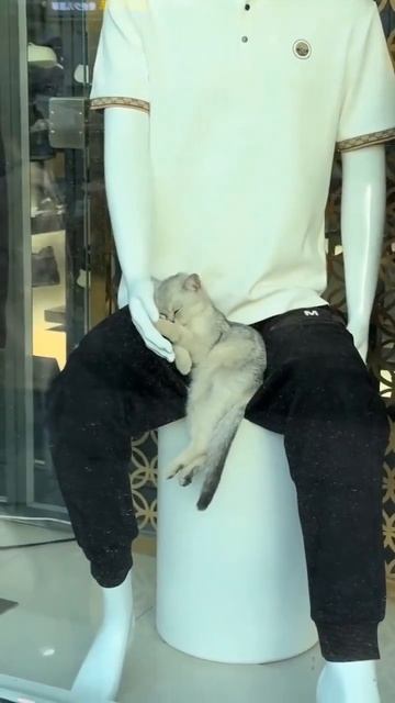 Отличное место для сна смотреть онлайн