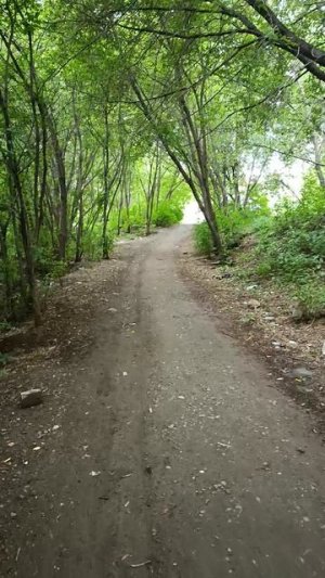 Тайная тропа