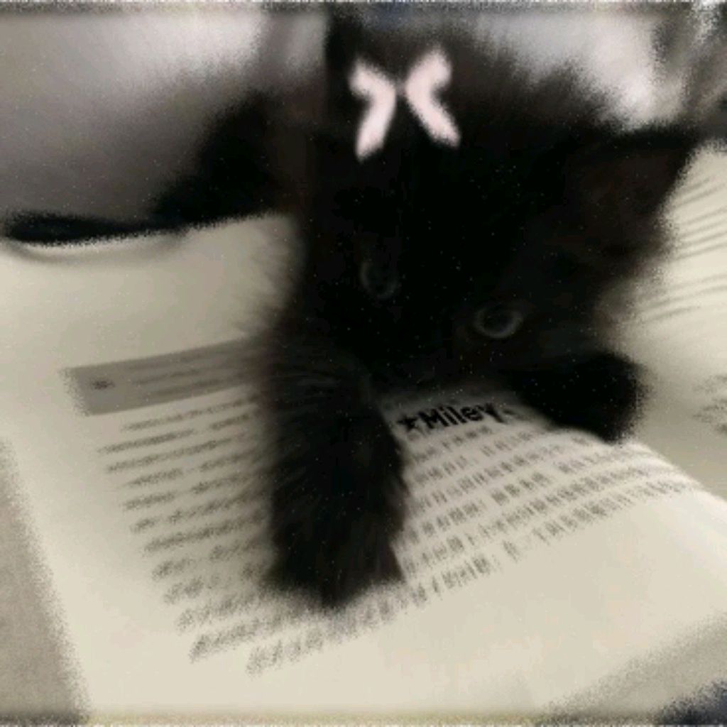 хай я тут и едем в Белово