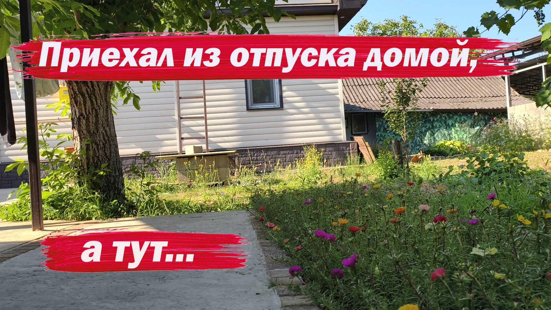 Приехал домой а тут... смотреть онлайн