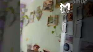 Сильнейшее землетрясение на Камчатке