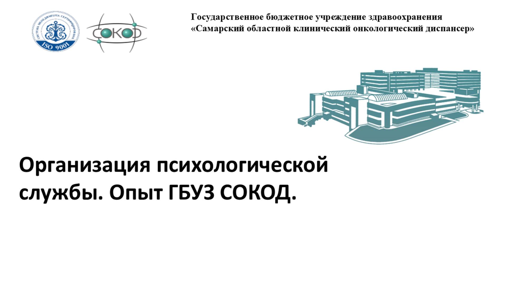 Организация психологической службы. Опыт ГБУЗ СОКОД. смотреть онлайн