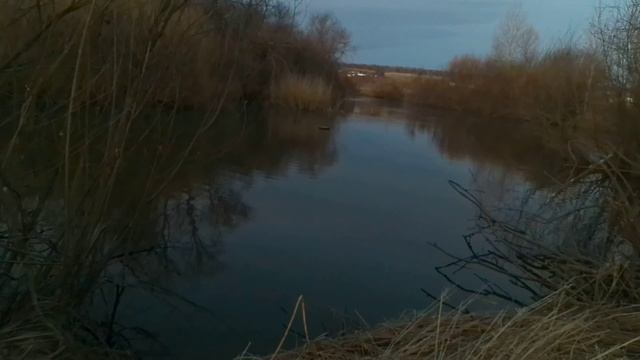 Весенняя охота на селезня утки 2023г смотреть онлайн