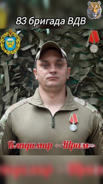 Поздравим нашего тигра с наградой. Шрам.