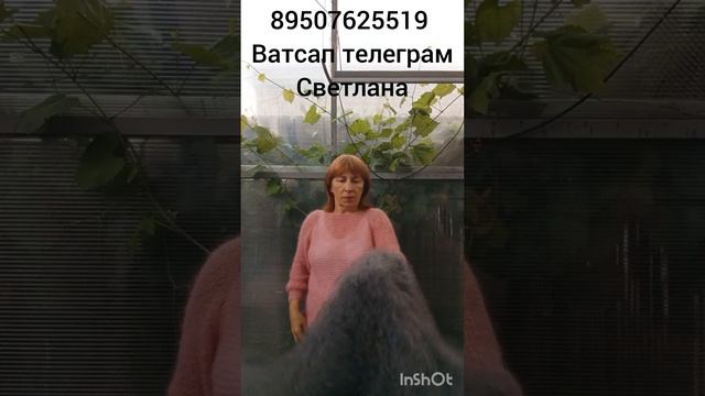 Пуховые носки,плед,платки ,носки, трусы,жилетки,перчатки смотреть онлайн