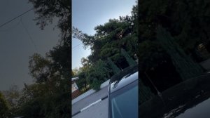 Кия Сид, общий обзор