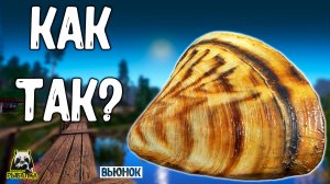 Rf4 Почему такое происходит на реке Вьюнок #рр4