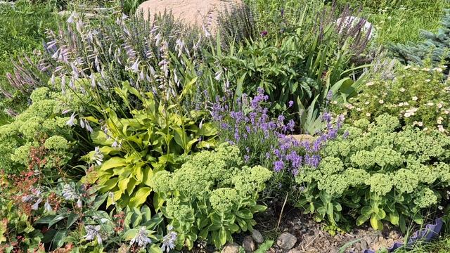 3 минуты летнего релакса. Ни чего не происходит).