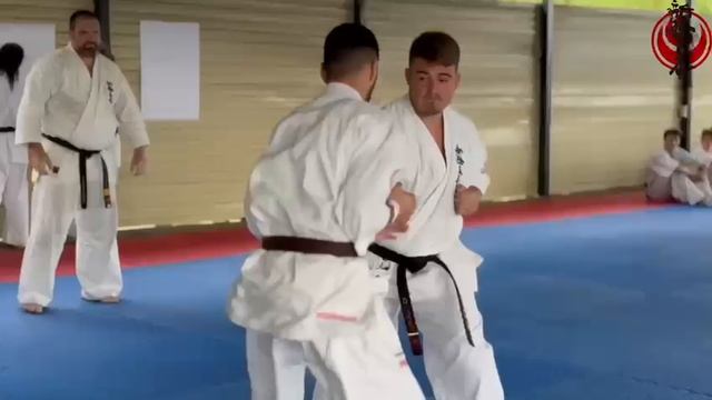 Киокушинкай 2