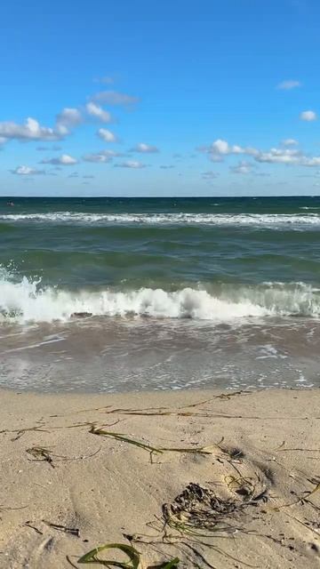 Море с характером! Черноморское. Лето 2025 смотреть онлайн