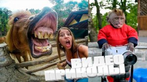 КРУТЫЕ ПРИКОЛЫ 2025 \ НОВЫЕ ПРИКОЛЫ \ СМЕШНЫЕ ПРИКОЛЫ 2025