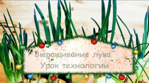 Выращивание лука. Урок технологии 2 класс. Как вырастить зеленый лук из луковицы