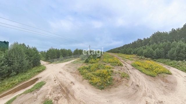 9181174 смотреть онлайн