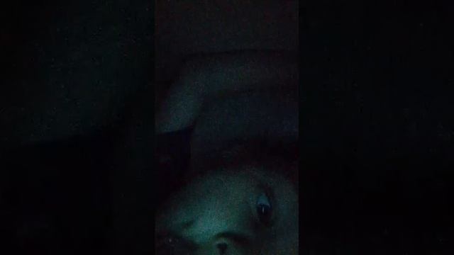 д смотреть онлайн