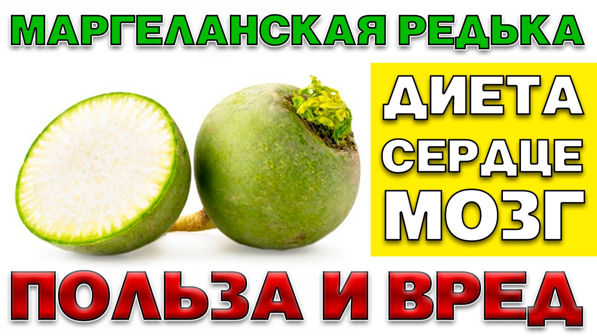 МАРГЕЛАНСКАЯ РЕДЬКА - ПОЛЬЗА И ВРЕД (ПОДАРОК ИЗ УЗБЕКИСТАНА) смотреть онлайн