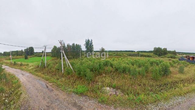 9167916 смотреть онлайн