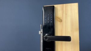 Настройка Дверной замок WIFI Ps-Link PS-Z13-TY