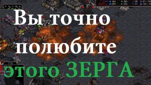 Посмотри на это МОРЕ - ТЁМНЫЙ РОЙ ЗА ТЁМНЫМ РОЕМ. Одна из самых захватывающих игр за последнее врем