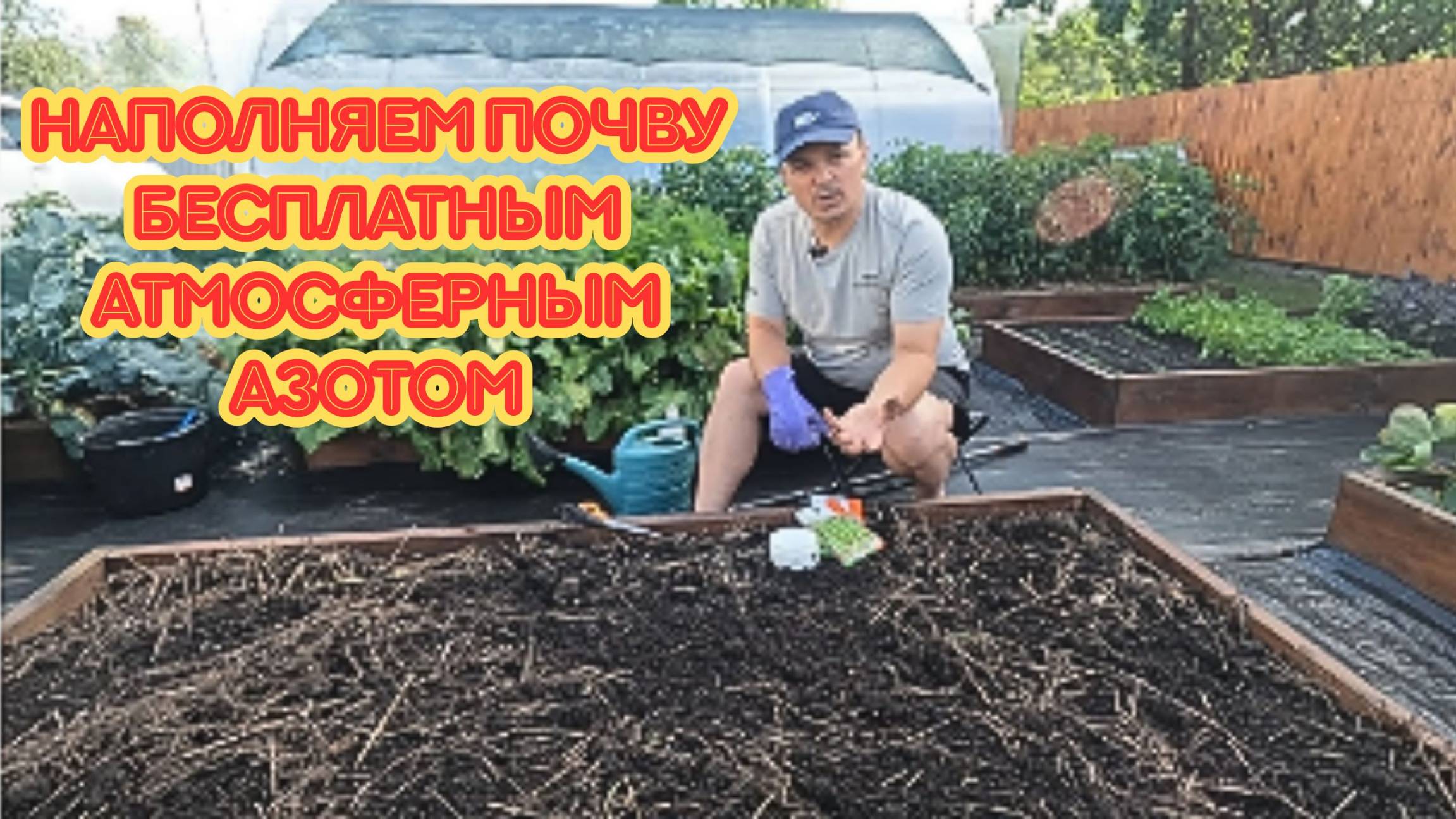 Убрали чеснок Посейте сразу после него горох! смотреть онлайн