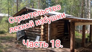 Строительство лесной избушки. Часть 18. Веранда. Морошка.