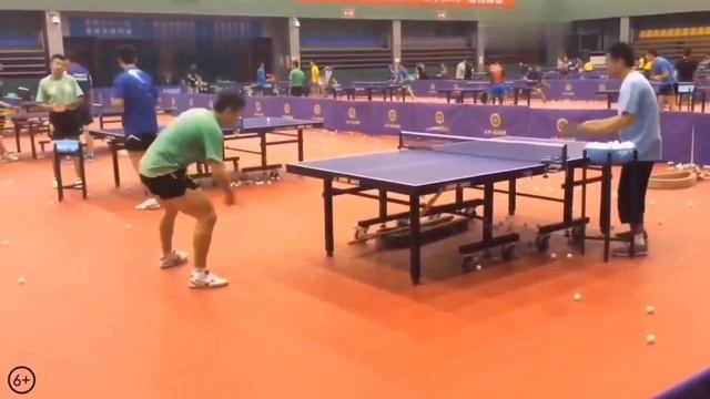 Все о насстольном теннисе