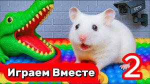 ЛАБИРИНТ С ЛОВУШКАМИ И КРОКОДИЛОМ ДЛЯ УМНОГО ХОМЯКА 🐹 ВЫБИРАЕМСЯ ЧЕРЕЗ ЛОВУШКИ ! ЧАСТЬ 2