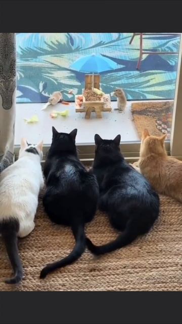 Реалити шоу смотреть онлайн